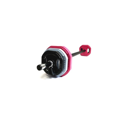 Discos y Collarines para Set Pump